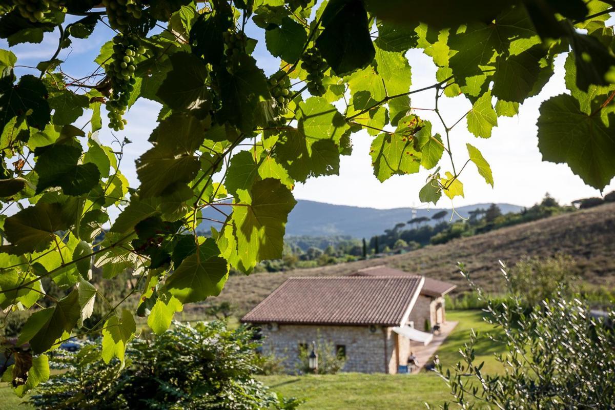 Tenuta I Tufari Τίβολι Εξωτερικό φωτογραφία