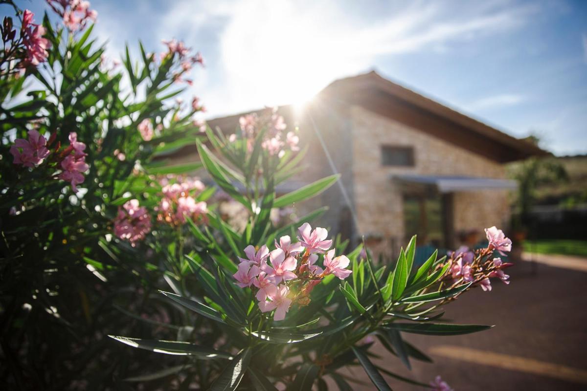 Tenuta I Tufari Τίβολι Εξωτερικό φωτογραφία