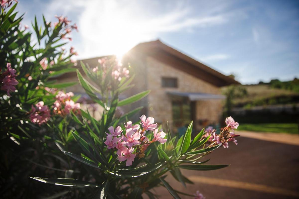 Tenuta I Tufari Τίβολι Εξωτερικό φωτογραφία